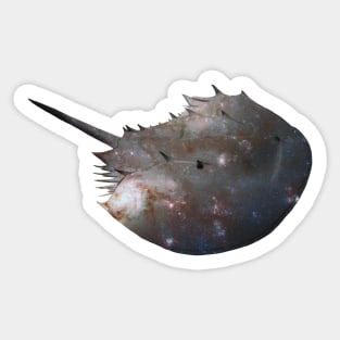 Galaxy Horseshoe Crab Sticker